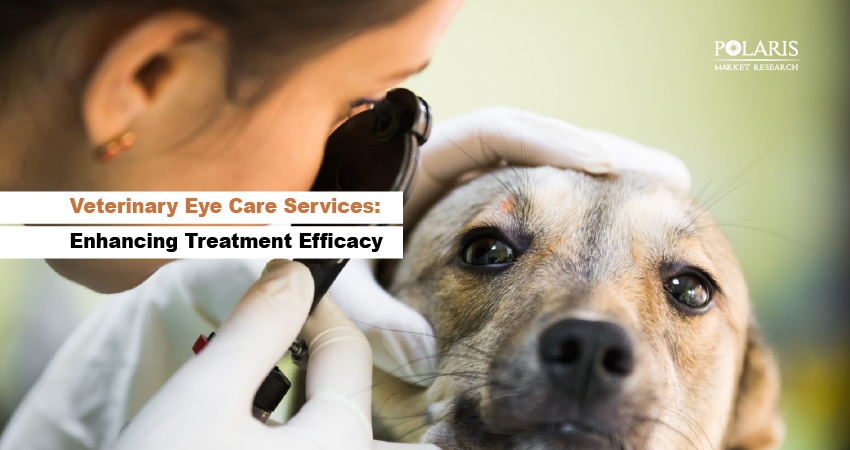 Veterinary Eye Care Services: Enhancing Treatment Efficacy